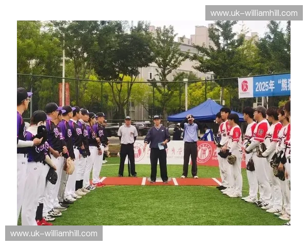 垒球阵容：一次从默契到荣耀的团队升华